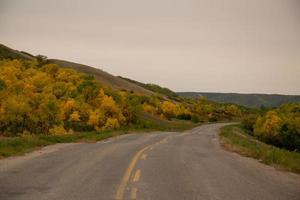 herfstkleuren langs de rijbaan in de vallei van qu'appelle, saskatchewan, canada foto