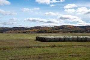 hooibalen na de herfstoogst op de Canadese prairies. foto