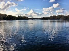 een weergave van enkele vogels op een meer in londen foto