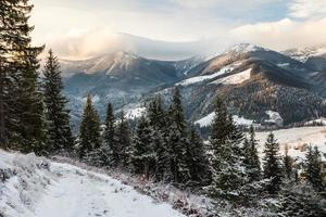 prachtige winterlandschap in de bergen foto