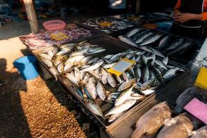 vismarkt in krabi, rauwe zeevruchten op een markt in de buurt van de tropische zee foto