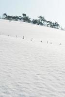 winter sneeuw heuvel foto