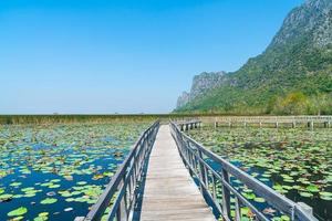 sam roi yot zoetwatermoeras of bueng bua khao sam roi yot nationaal park foto