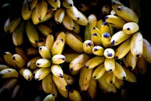 banaan foto