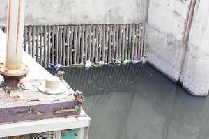vervuild kanaal in bangkok foto
