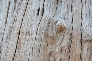 het vooroppervlak van de houten halve bol is blootgesteld aan de zon en verweerd om schimmel op het hout te veroorzaken. foto