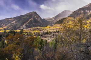 herfst in de wasatch-bergen langs de Alpenlus (Utah)