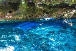 blauw turkoois water kalksteen grot sinkhole cenote tajma ha mexico. foto