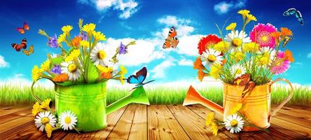 kleurrijk wild bloemenboeket in een gieter met vlinders. foto