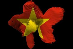 vlag van vietnam op goudvis foto