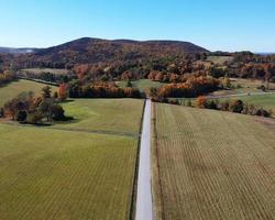 landweg in de herfst foto