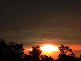 nacht zonsondergang schijnt helder abstract silhouet zwarte struik boom op oranje licht zon wolk lucht natuur achtergrond foto