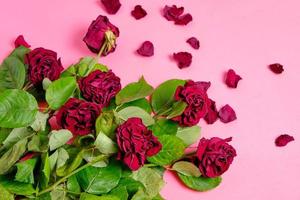 boeket van rode verwelkte rozen op een roze achtergrond.
