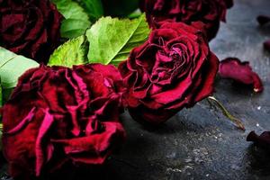 boeket van vervaagde rode rozen met dode bloemblaadjes op de vloer. foto