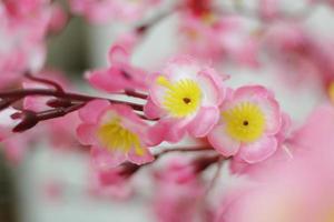 roze kersenbloesems met Chinese ornamenten op een wazige café-achtergrond foto