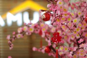 roze kersenbloesems met Chinese ornamenten op een wazige café-achtergrond foto