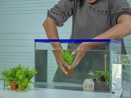 aziatische vrouwen zetten het aquarium foto