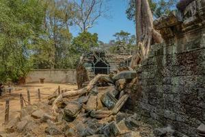 gebroken ruïne in ta prohm tempelgebied in siem reap cambodja foto