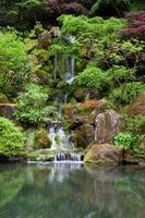 waterval in Japanse tuin in portland foto