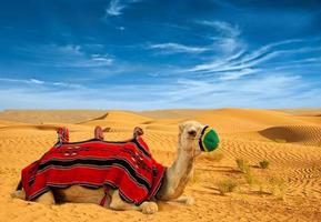 toeristische kameel op zandduinen foto