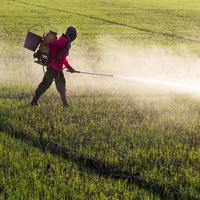 landbouwer die herbiciden sproeit. foto