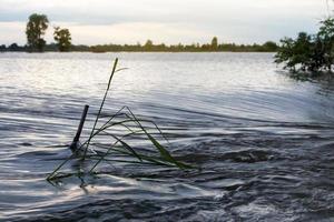 water dat door gras stroomt. foto