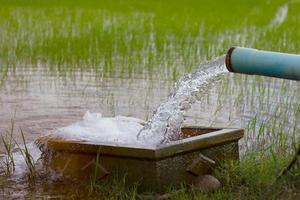 water stroomt in een rijstveld. foto