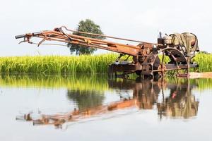 uitlopers weerspiegeld in rijstvelden. foto