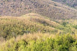 schilderachtige bergtoppen in de zomer. foto