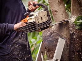 de tuinman gebruikt een kettingzaag om bomen te snoeien foto