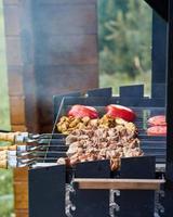 barbecue sjasliek kebab met winglets en tomaten met geroosterde paprika in chargrill halffabrikaten