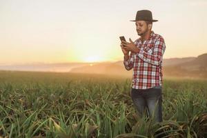 zakenman met een tablet controleert de korenaren. concept van landbouwbedrijf. agronoom die in het veld werkt, onderzoekt de gerijpte korenaren. zakenman die in de landbouw werkt. smartphone. foto