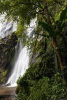 waterval in de buurt van bomen. foto