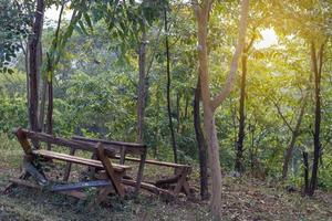 ruïnes oude houten stoelen in het bos. foto