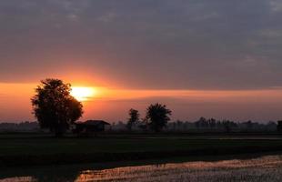 ochtend zonsopgang met huisje in de buurt van boom. foto