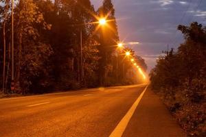 licht van vele lampen en bomen over landelijke wegen. foto