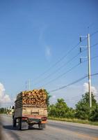 het achteraanzicht van een voertuig dat overdag eucalyptusstammen op de weg vervoert. foto