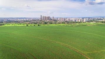 luchtfoto van suikerrietplantage in de buurt van een grote stad. foto