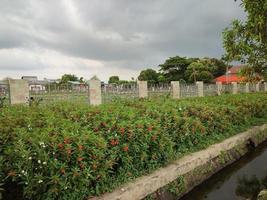 een bloementuin op een openbare begraafplaats foto