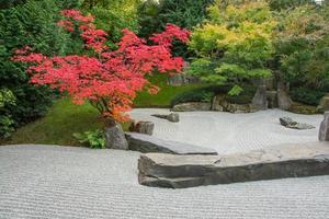 Japanse tuin in de herfsttijd foto