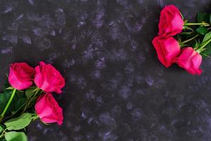 boeket van roze rozen op donkere achtergrond. bovenaanzicht foto