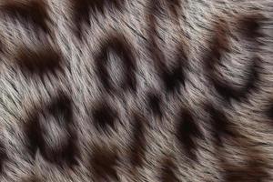macro wilde dieren textuur. abstracte wol achtergrond. 3D-rendering foto