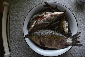 verse vis kroeskarper en voorn in een pan foto