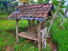 een klein gebouw in de rijst, een plek voor boerenrust in Indonesië foto