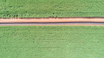 onverharde weg door een veld foto