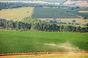 luchtfoto van een grote braziliaanse boerderij met koffieplantage. tractor. koffieplantage in brazilië. foto