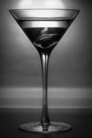 vintage retro foto met martini geïsoleerd