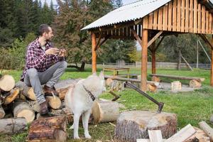 toerist ontspannen op het gehakte hout met husky hond en thee of koffie drinken? foto