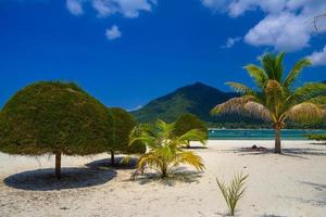 palmen en zand op malibu beach, koh phangan island, suratthani, foto