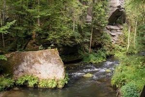 landschap in bergen in het nationale park van Tsjechisch zwitserland, dennenbos en rotsen foto